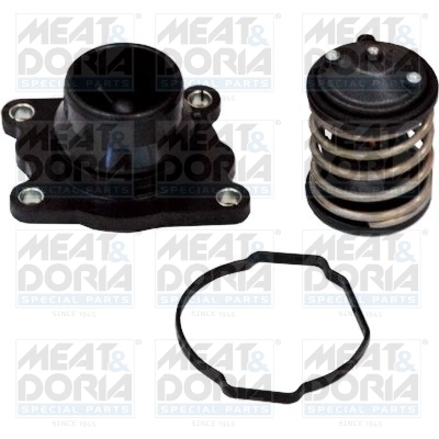 Thermostat, coolant